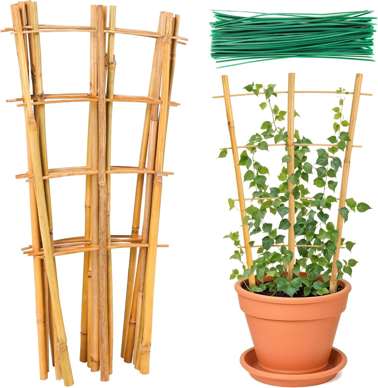 12-Pack 16-Inch Bamboo Plant Trellis – Natural Wood Support Stakes with 50 Ties for Indoor Potted Climbing Plants, Vines & Flowers